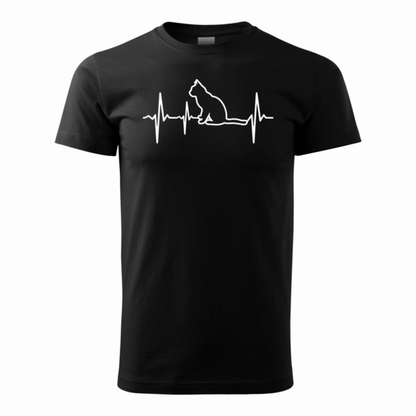EKG mačka